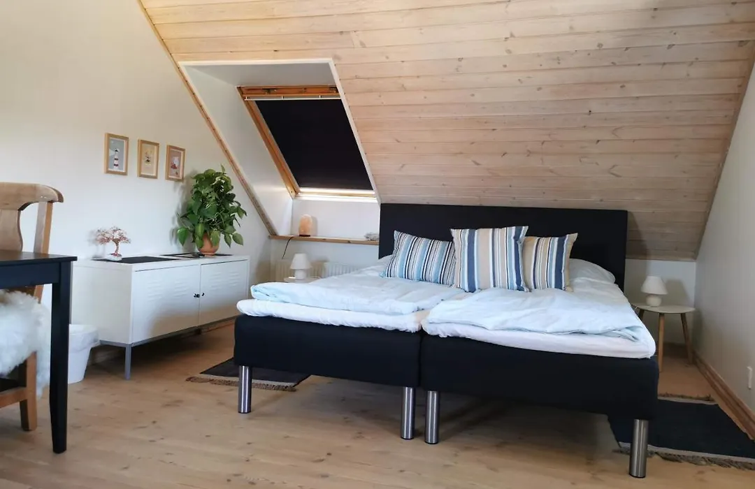 Safine B&B-1